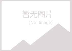 爱辉区女孩会计有限公司